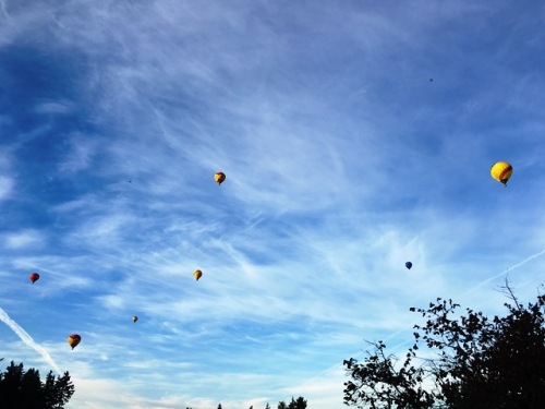 8.13.16 Hot air balloons